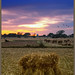 Samuel Land Photo 21