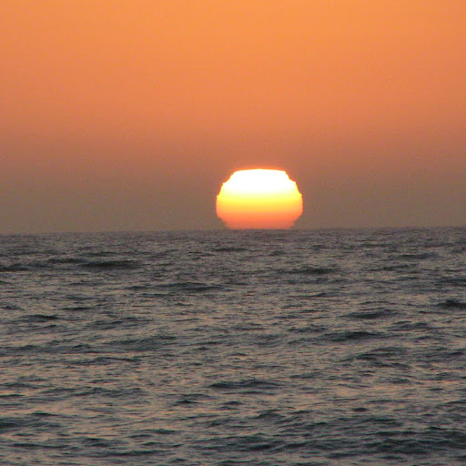 Traci Walker Photo 29