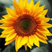 Kathleen Tan Photo 14