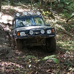 Matthew Hines Photo 36