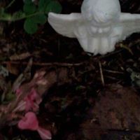 Marie Shoemaker Photo 9