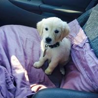 Michael Link Photo 50