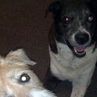 Silvia Miller Photo 8