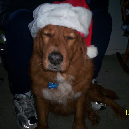 Bruce Walker Photo 20 Bruce Walker Photo 20