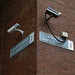 Frederick Bloom Photo 9