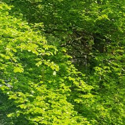 Donovan Kelly Photo 12