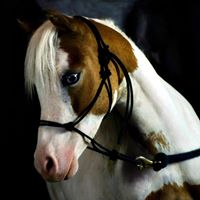 Rebecca Hagan Photo 21