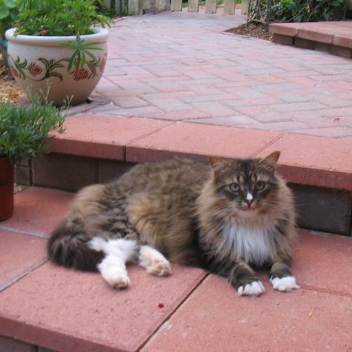 Terry Peters Photo 37