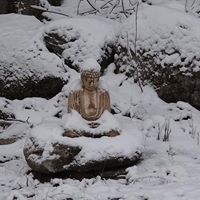 Ruth Pearson Photo 37