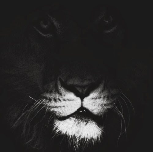 Bobby Harper Photo 6