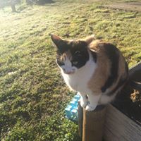 Melissa Rust Photo 34