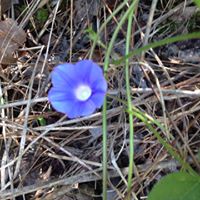 Teresa Bagwell Photo 5