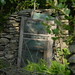 Helene Wilson Photo 14
