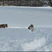 Aimee Snow Photo 7