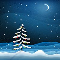 Sandra Bernstein Photo 21 Sandra Bernstein Photo 21