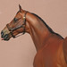 William Kroll Photo 12