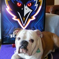 Barbara Kocher Photo 8