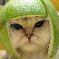 Annie Knowles Photo 3