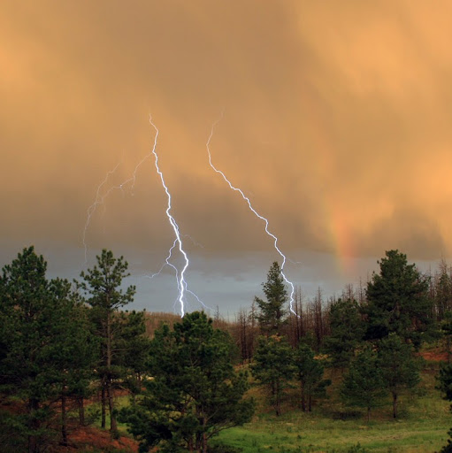 Alison Bell Photo 29