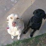 Phillip Rogers Photo 23