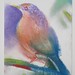 Robin Robins Photo 34