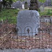 Charles Massey Photo 18