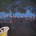 Deborah Fox Photo 31