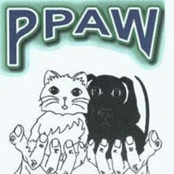 Paula Mcfarland Photo 8