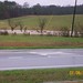 Susan Snead Photo 17