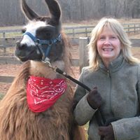 Vicki Webster Photo 16