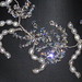 Crystal Rice Photo 43