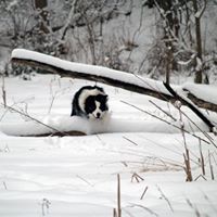 Janet Mercer Photo 22