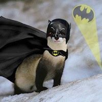 Denise Benson Photo 3