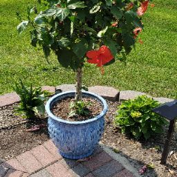 Terence Dunlap Photo 12