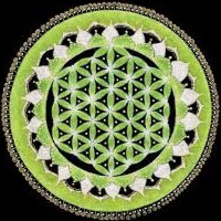 Seth Hubbard Photo 17