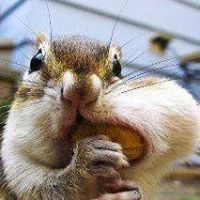 Cindy Wyman Photo 13