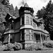 Eugene Johnson Photo 19