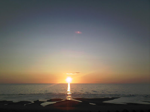 Danielle Sharpe Photo 13