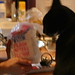 Kitty Cook Photo 10