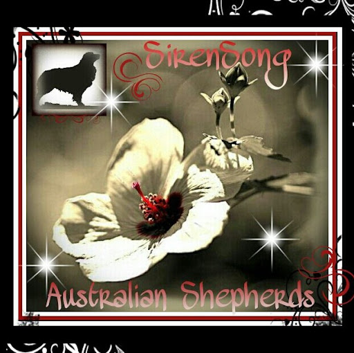 Melissa Bridgman Photo 14