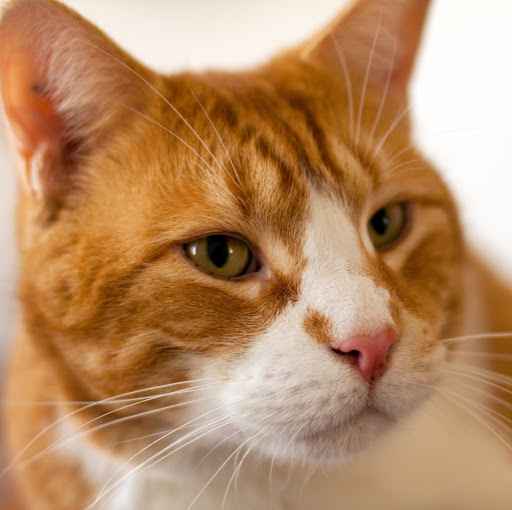 Phillip Kidd Photo 20