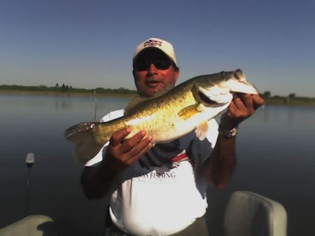 Jose Mendez Photo 26