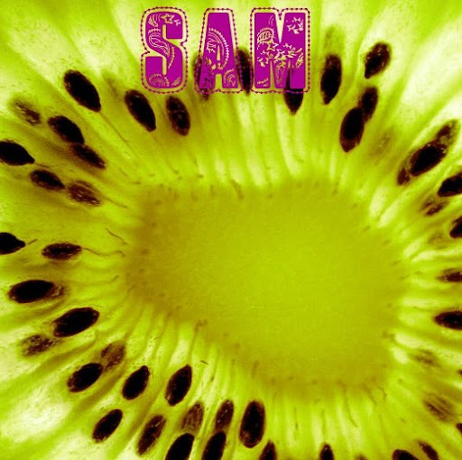 Sam Bush Photo 30