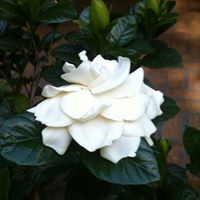 Laura Ott Photo 20
