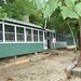 Susan Mccaffrey Photo 23