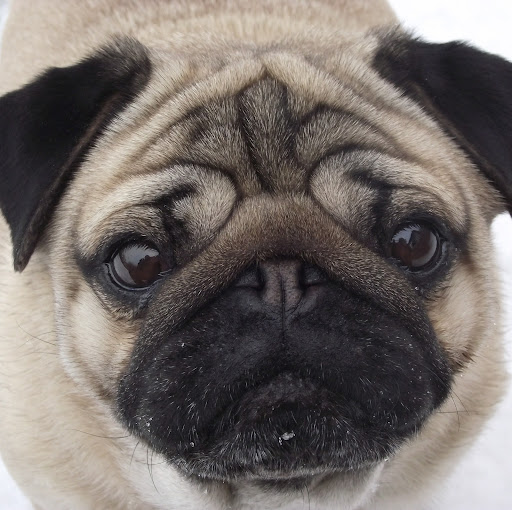 Lynnette Johnson Photo 21 Lynnette Johnson Photo 21