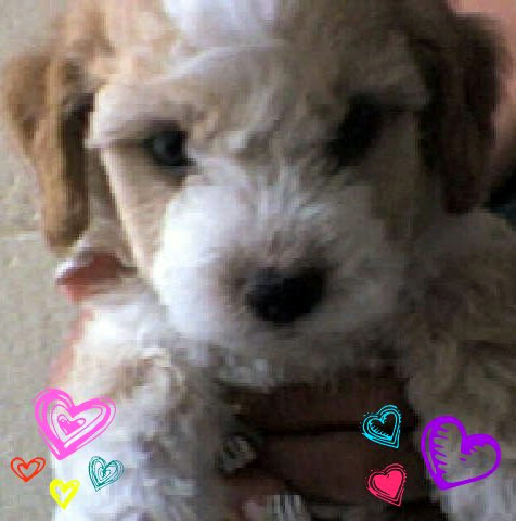 Sandra Mendoza Photo 37