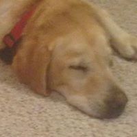 Jill Koester Photo 3