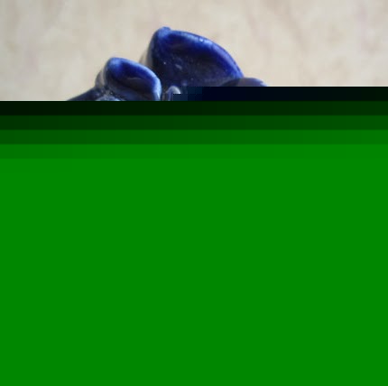 Tabitha Tanner Photo 1