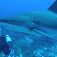 Elizabeth Stroup Photo 6